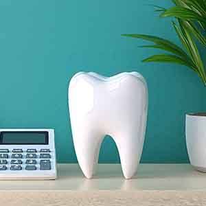 Large model tooth next to calculator and potted plant